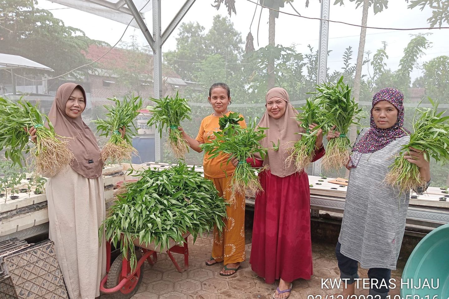 Pj Wali Kota Mojokerto Apresiasi Urban Farming, Solusi Ketahanan Pangan dan Tekan Inflasi