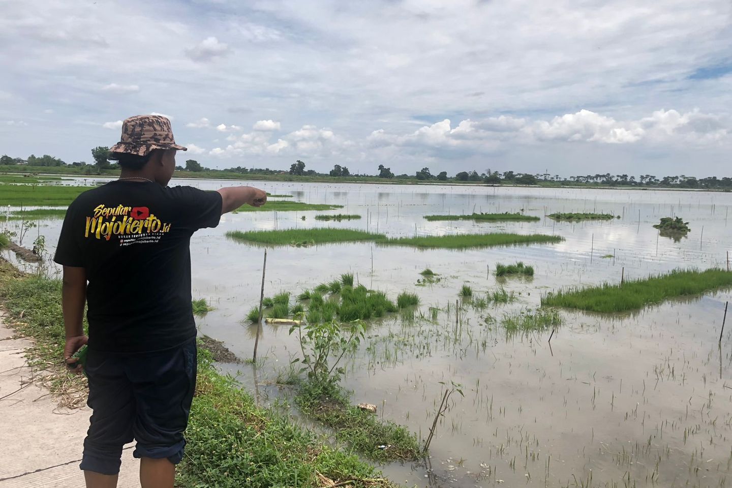 Hujan Deras Rendam Jalan Desa dan Puluhan Hektar Sawah di Mojokerto
