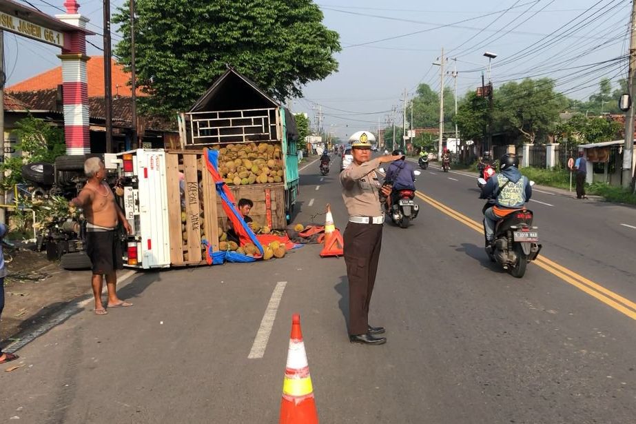 Sopir Ngantuk, Truk Berisi 3 Ton Durian Terguling
