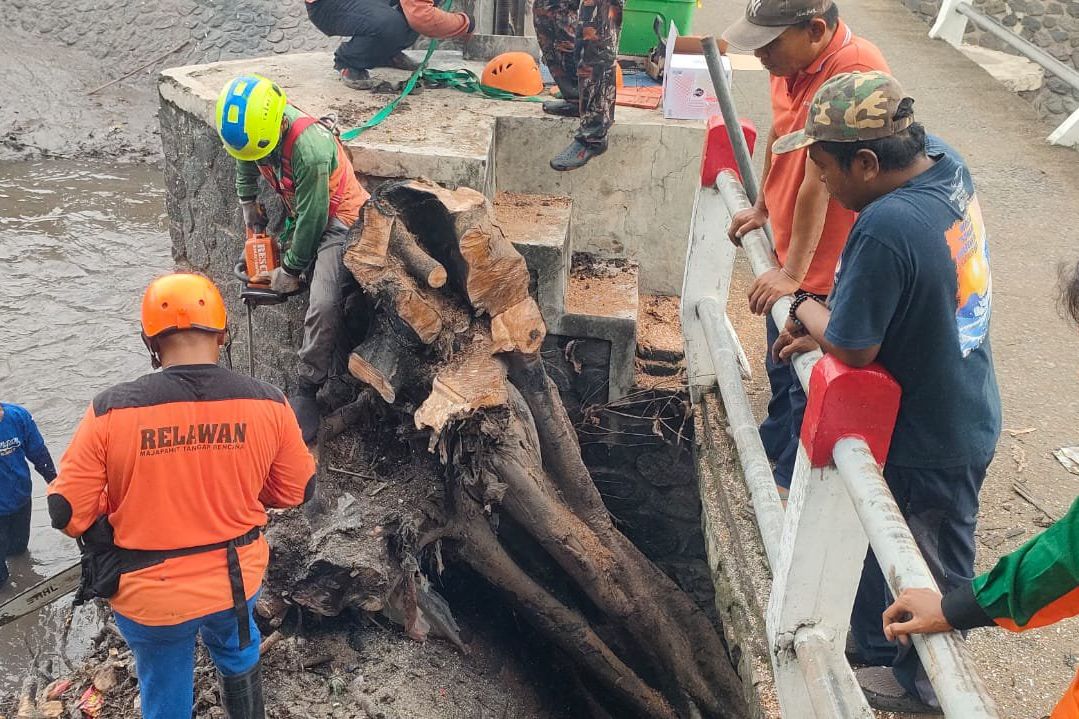 BPBD dan Warga Potong Pohon yang Menutup Aliran Dam di Mojokerto