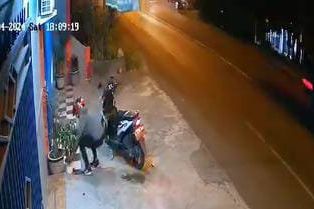 Di Kantor Properti, Pencuri Ini Dua Kali Curi Pot dan Tanaman Hias Murah