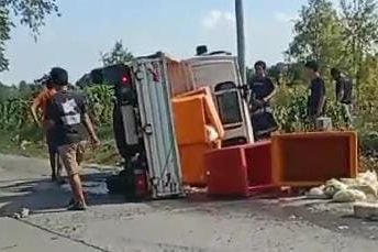 Pikap Bermuatan Usus Ayam Terguling di Jalan Raya Dawarblandong Mojokerto