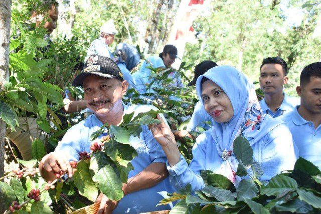 Kopi Arabika Kayumas di Ekspor ke Amerika, Bupati Ajak Petani Jaga Kualitas