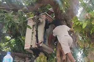 Patah Tulang saat Panjat Pohon Mangga, Warga Mojosari Dievakuasi Pakai <em>Crane</em>