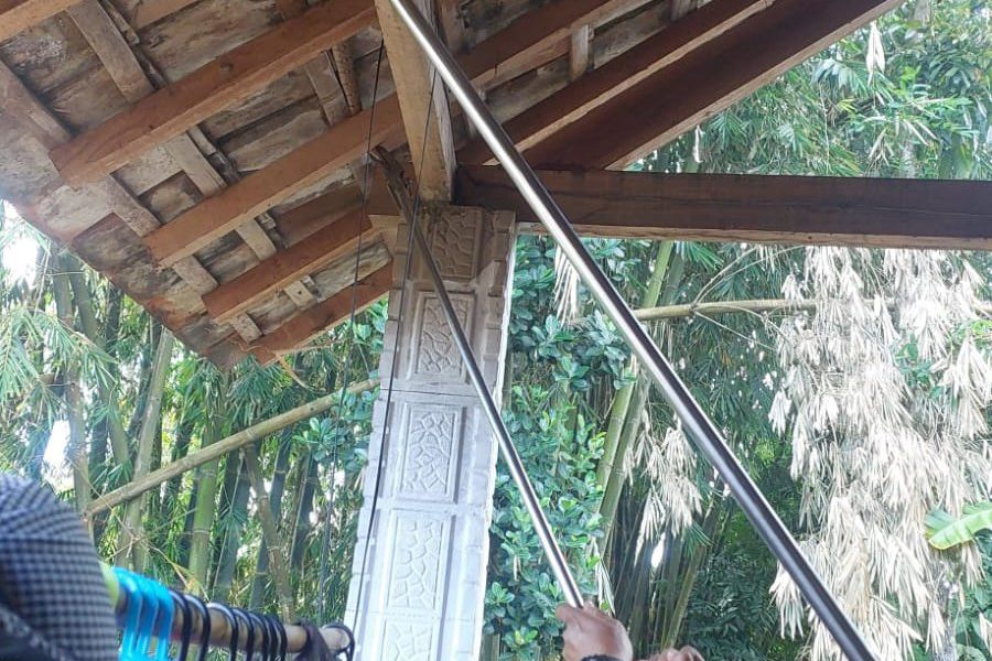 Damkar Mojokerto Evakuasi Ular di Atap Rumah Warga Trawas