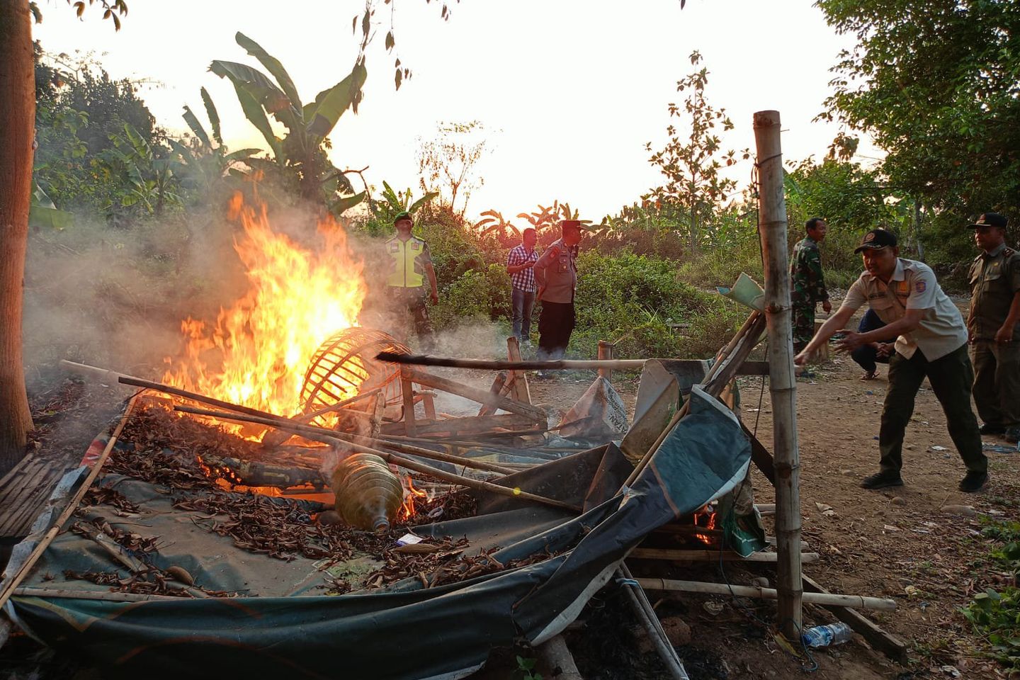 Gagal Gerebek, Polisi dan TNI Bakar Tempat Judi Sabung Ayam di Sooko Mojokerto