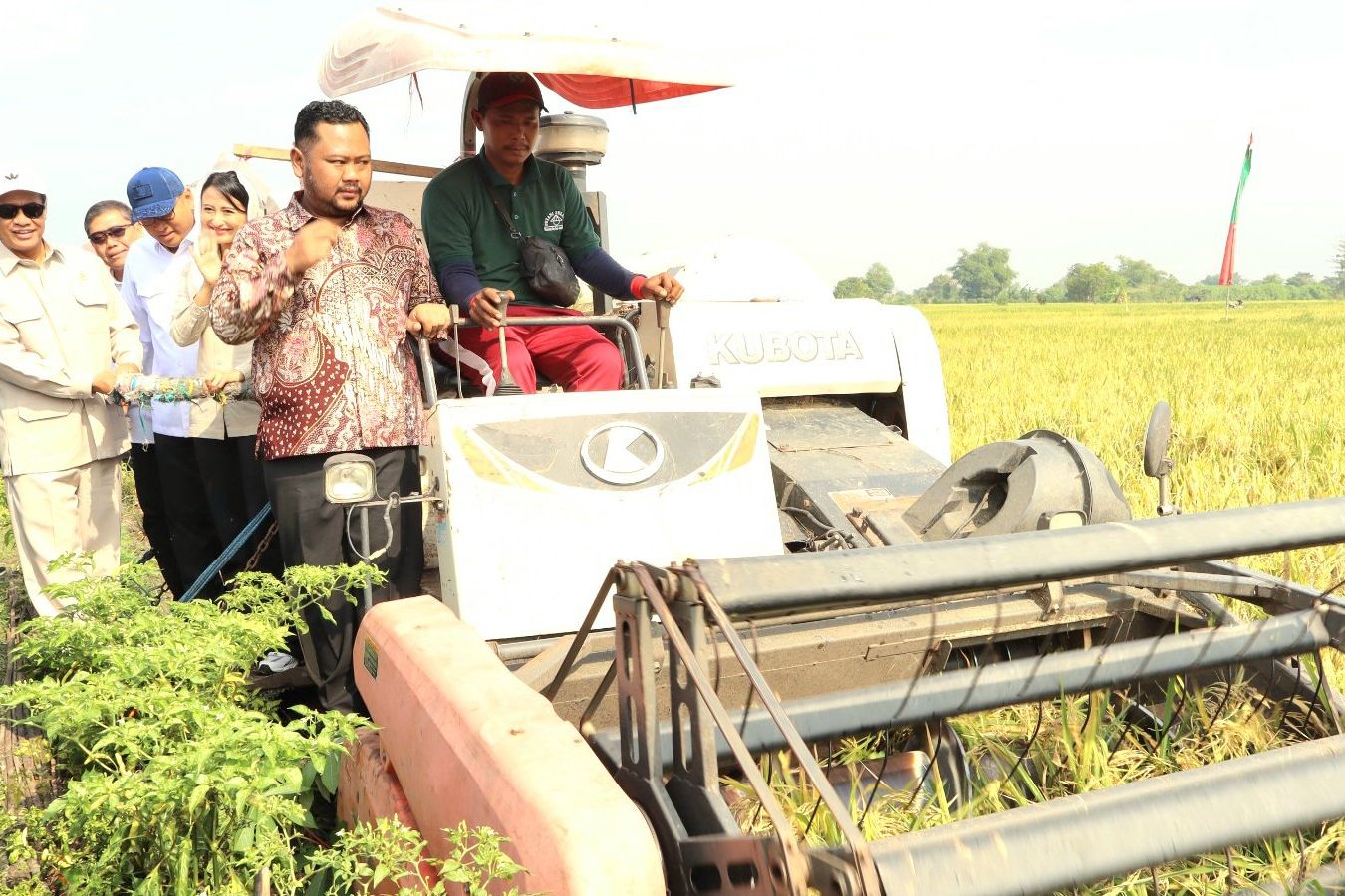 Mentan Apresiasi Tingginya Harga dan Produksi Padi di Gresik
