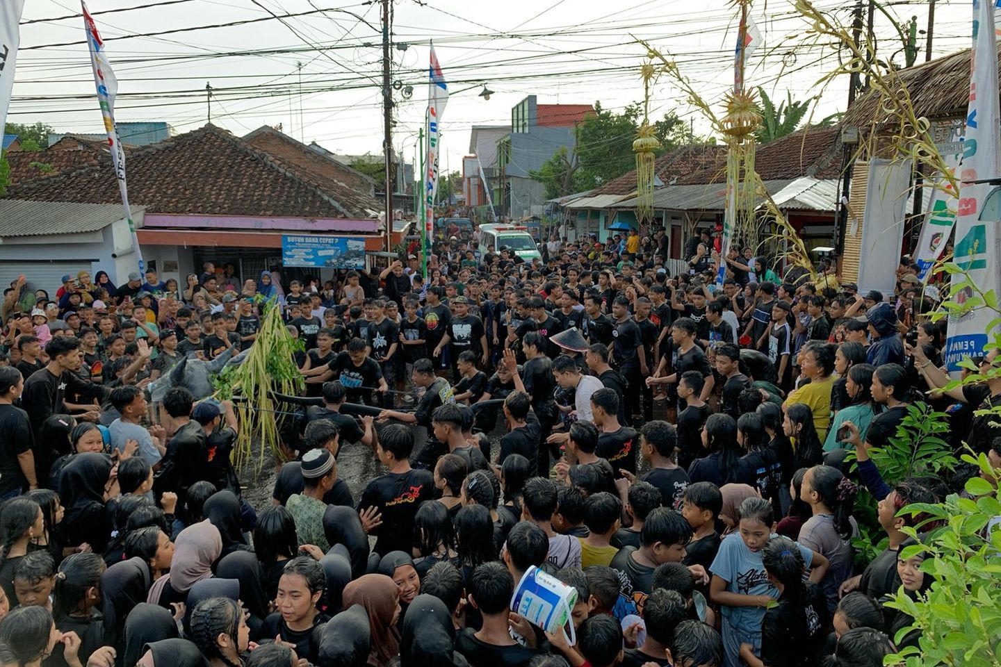 Tradisi Kebo-Keboan Warnai Boyolangu Culture Festival di Banyuwangi