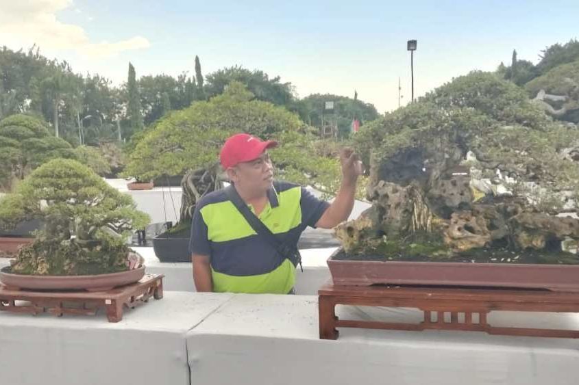Dispertan Gresik Percepat Informasi TI Pertanian Melalui Kontes Bonsai Skala Nasional