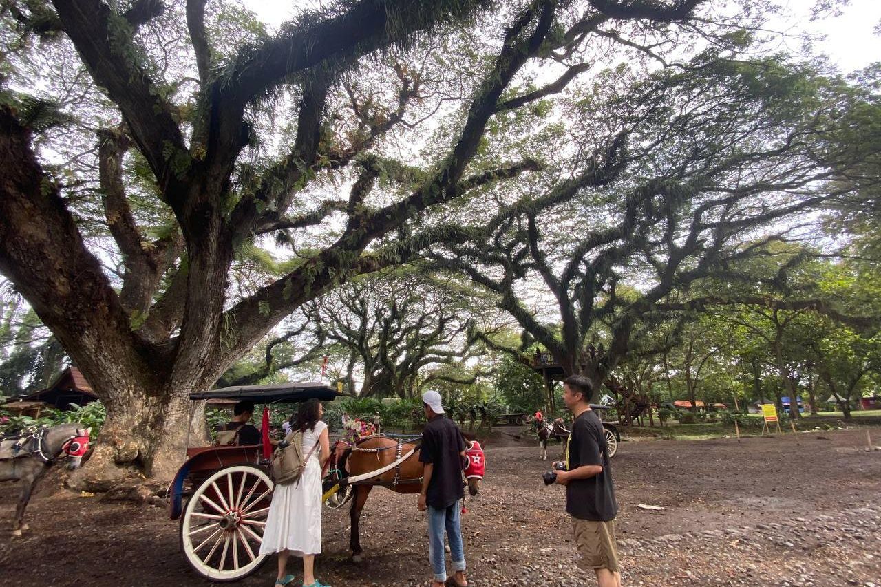 Libur Panjang Waisak, Ribuan Pelancong Padati Destinasi Wisata Banyuwangi