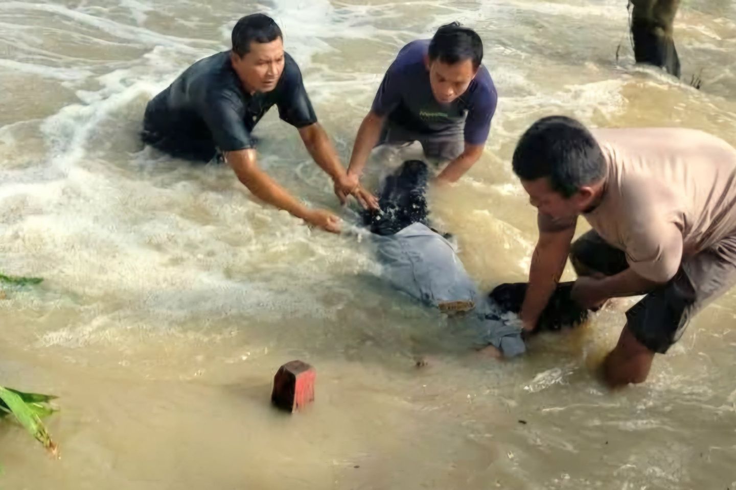 Petugas Dishub Gresik Terseret Banjir, Begini Kondisinya
 