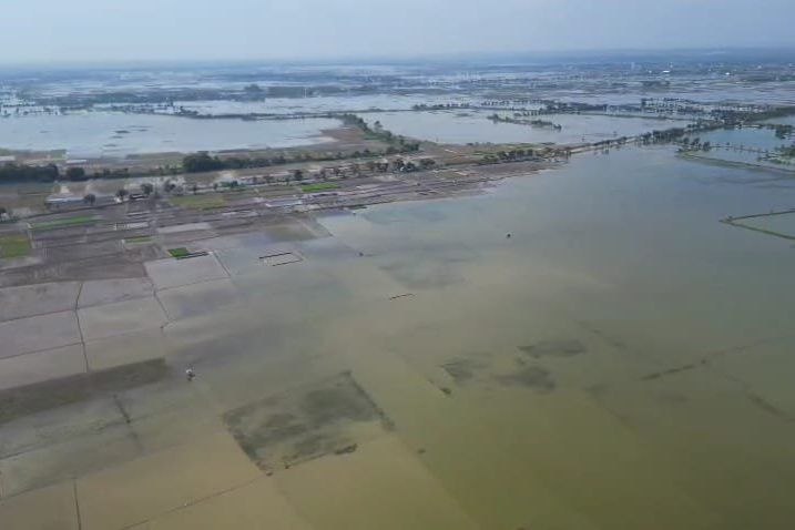 Petani Tuban Tuntut Normalisasi Sungai Avour, Begini Tanggapan BBWSBS