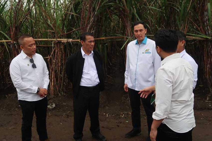Kejar Target Swasembada Gula di 2027, Kementan Fokus Tingkatkan Produksi Tebu