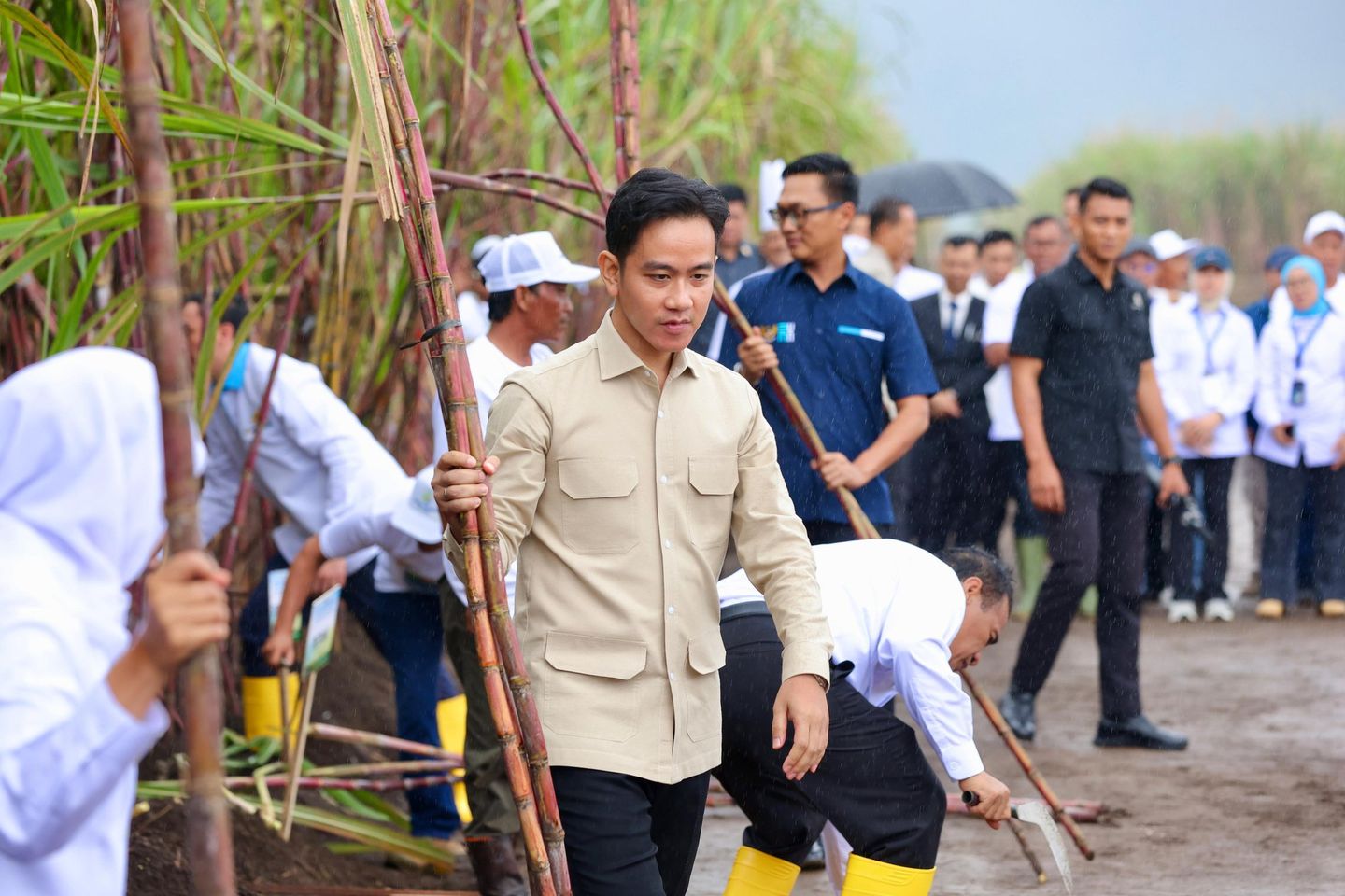 Di Kebun Tebu Jolondoro Banyuwangi, Gibran Janji Selesaikan Masalah Pertanian