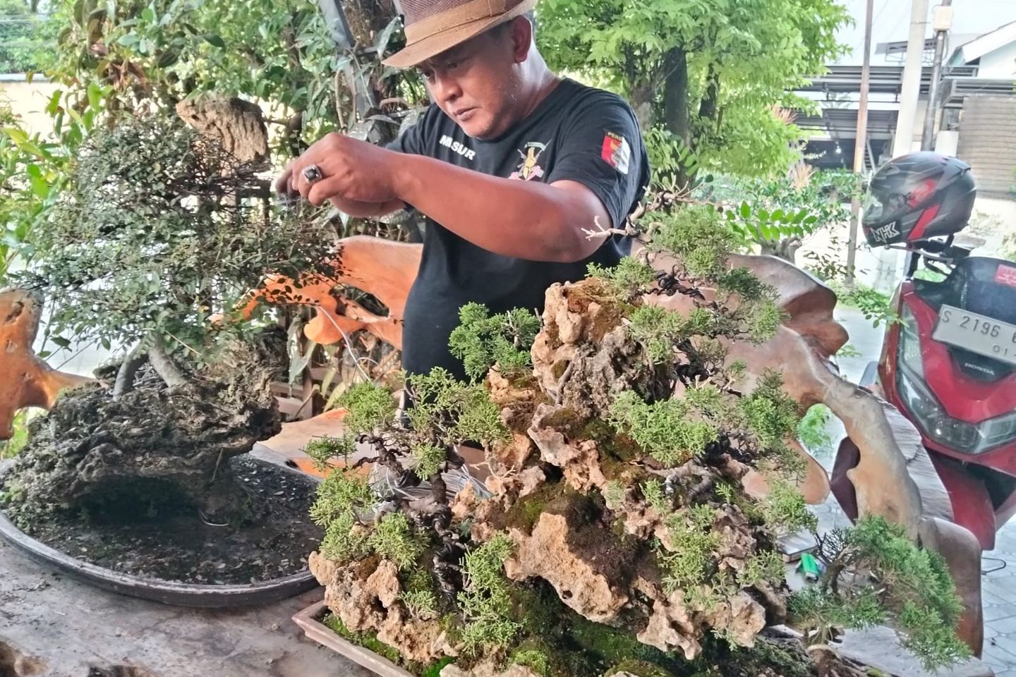 20 Tahun Merawat Bonsai, Mohamad Masrur Ungkap Suka Dukanya