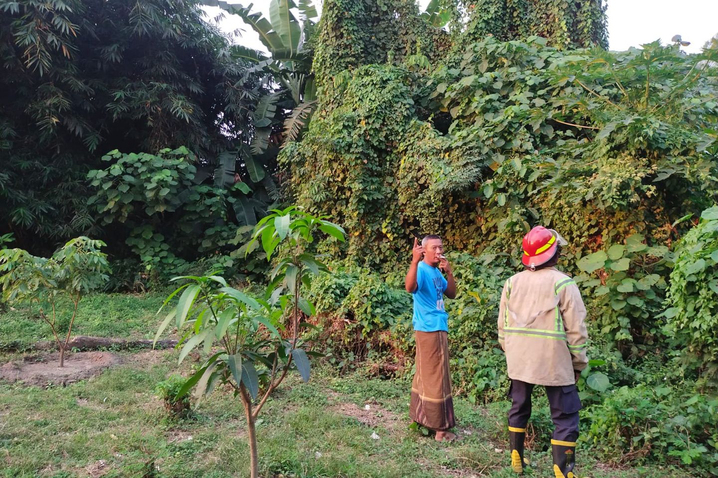 Lagi, Bocah Diserang Monyet Liar di Jombang dan Terluka
