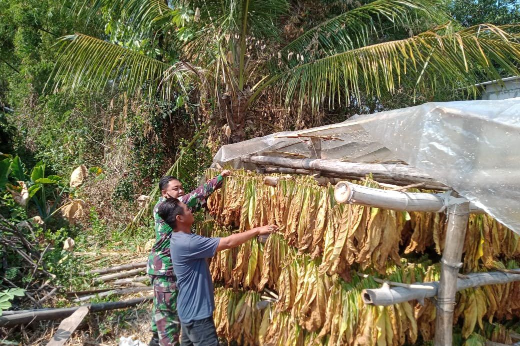 TMMD ke-125 Kodim Jombang Perkuat Sinergi TNI dengan Masyarakat