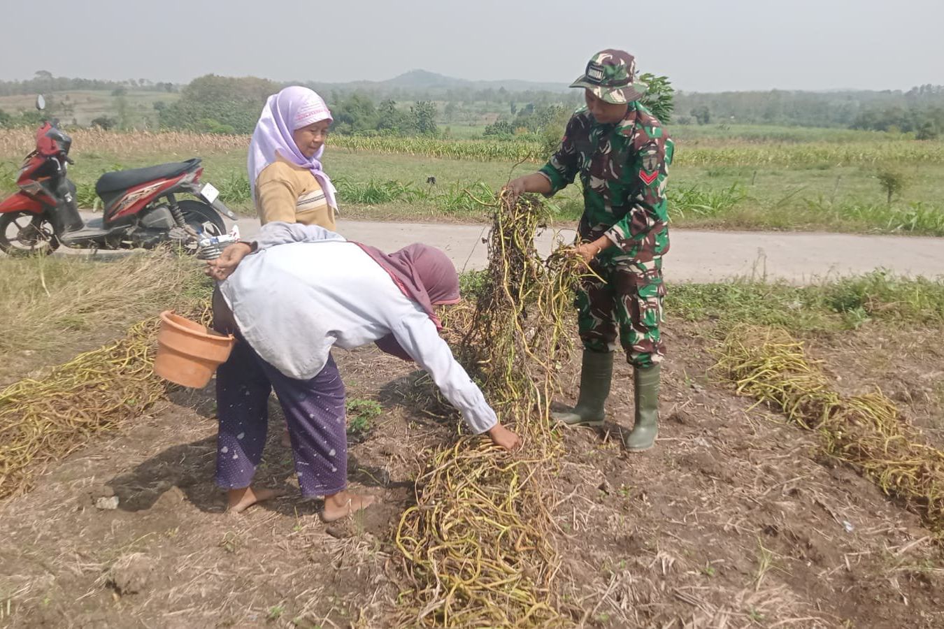 Belajar dari Petani Kangkung Benih, Personel TMMD Kodim Jombang: Ilmu Berharga