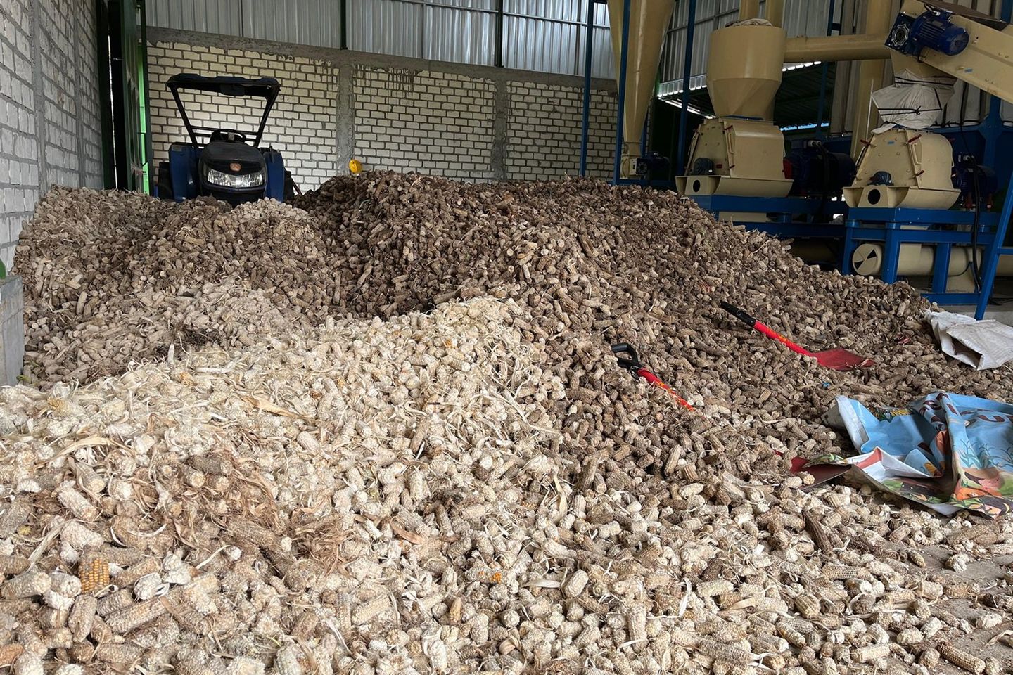 PLTU Tanjung Awar-Awar Kembangkan Biomassa dari Limbah Pertanian Jagung