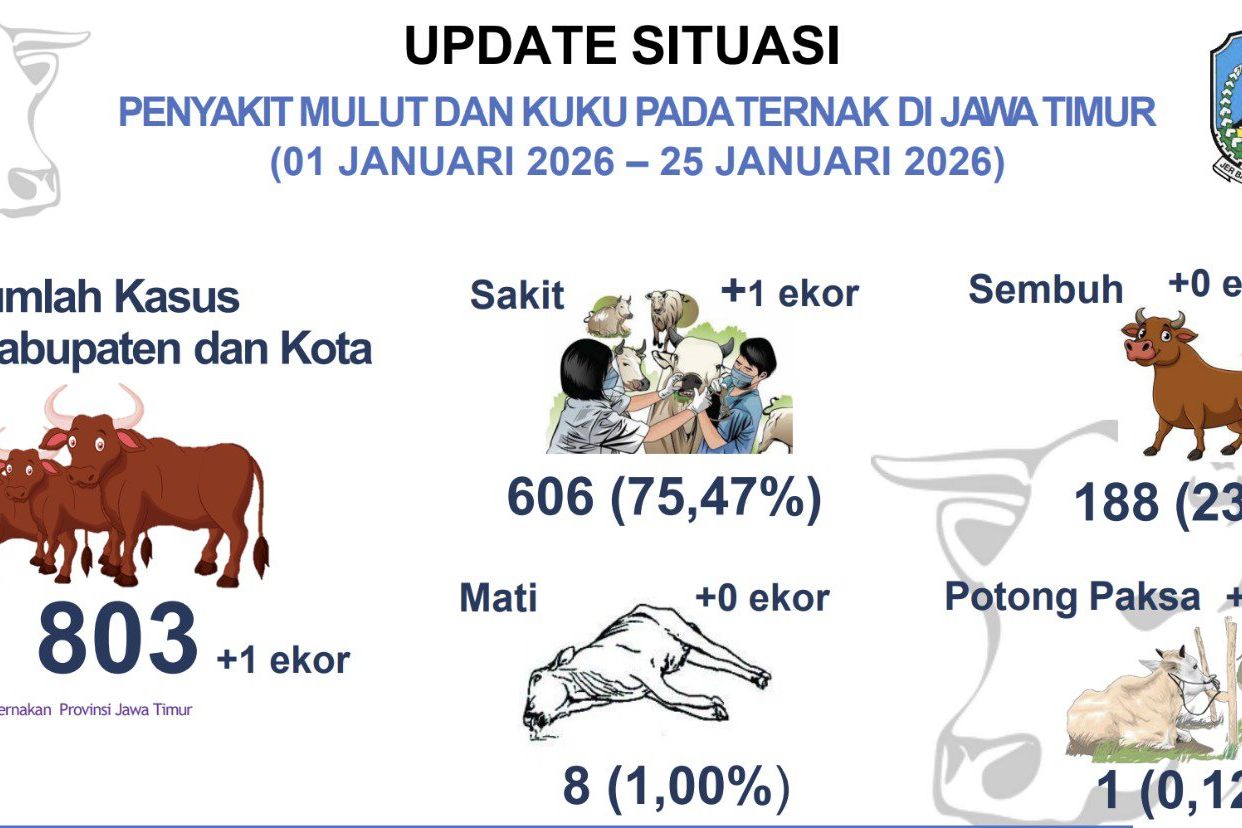 PMK di Jatim Meningkat di Awal 2026, Disnak: Cuaca Hujan Berdampak pada Kesehatan Hewan