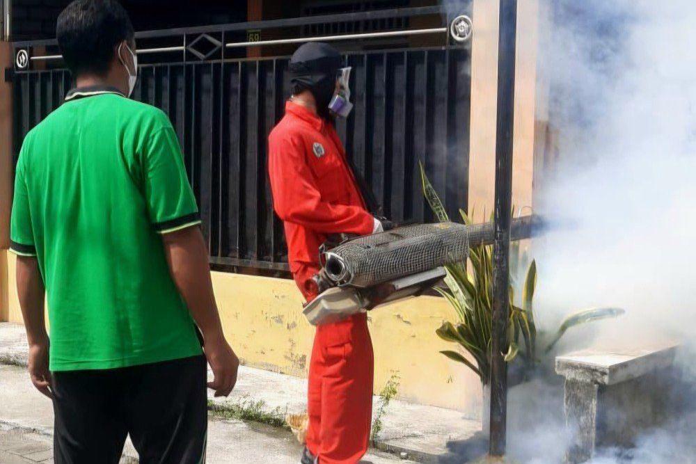 Dua Bulan, 41 Warga Gresik Suspek Chikungunya