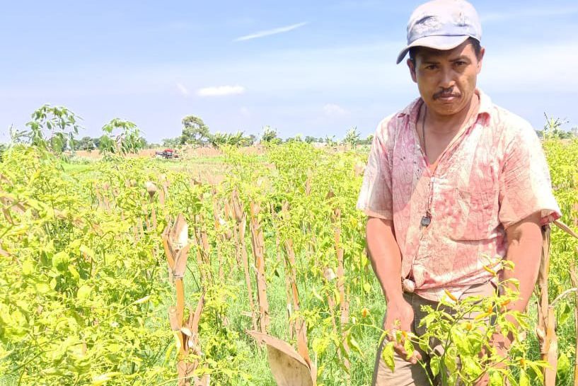 Harga Cabai Rawit di Pasar Bandung Tulungagung Rp550 Ribu per Kilogram?