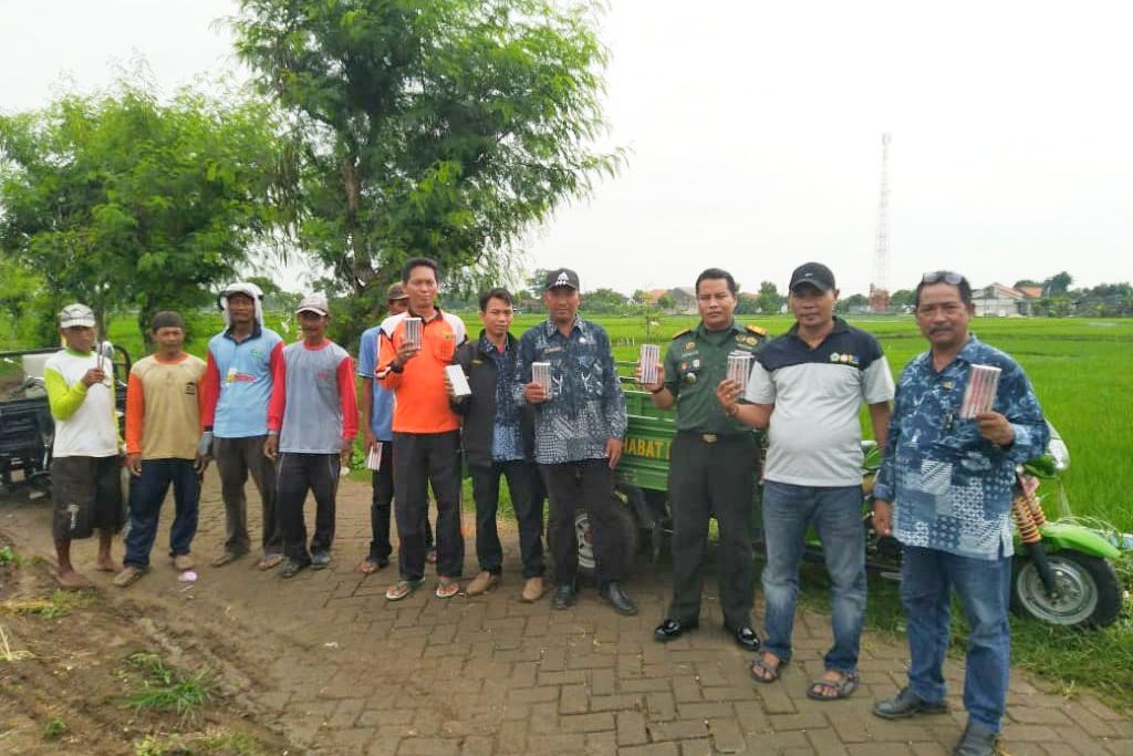 Basmi Hama Tikus, Petani Diimbau Rawat Burung Hantu