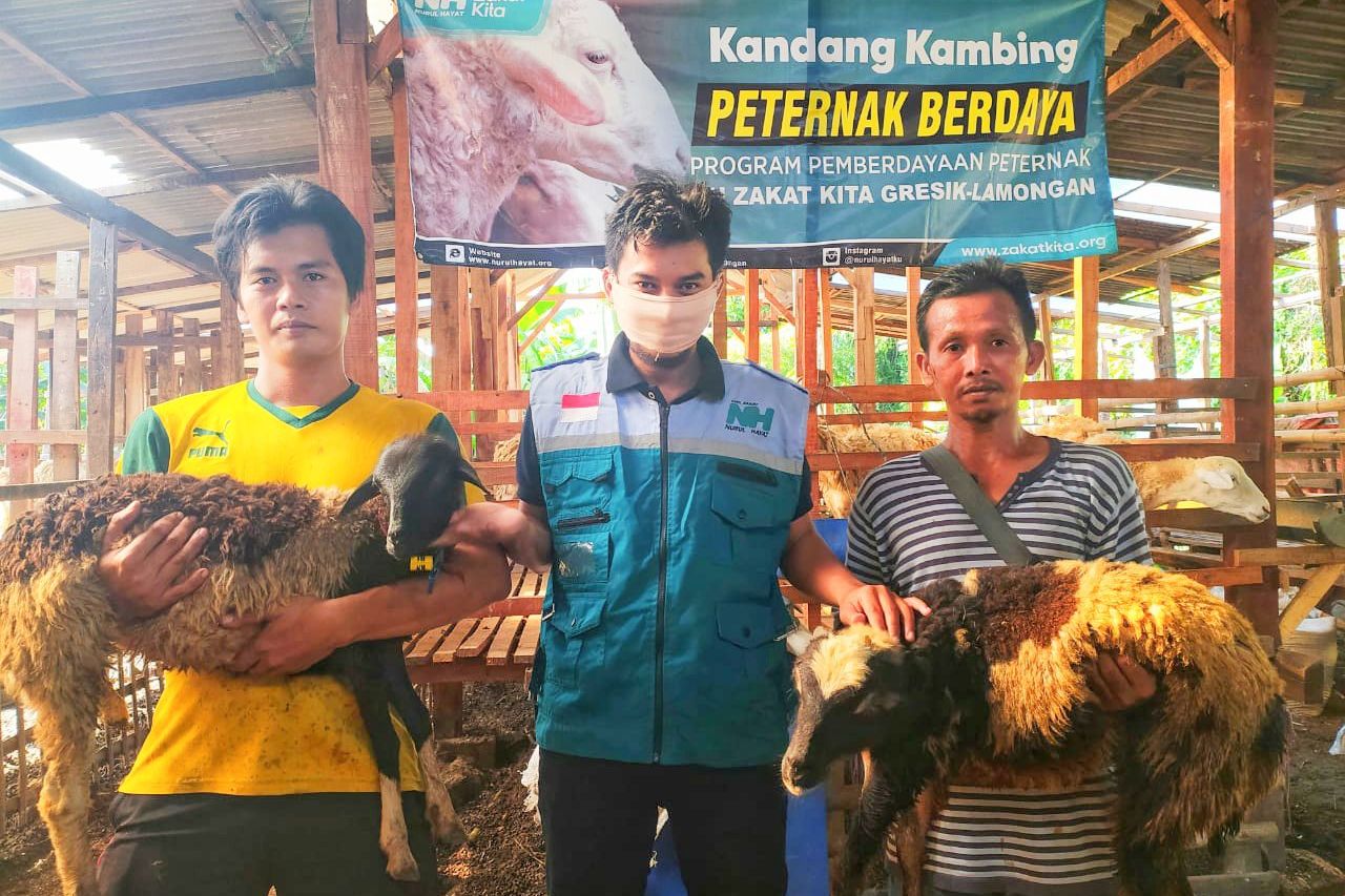 Ratusan Kambing Diberikan ke Warga untuk Diternak Membantu Ekonomi selama Pandemi