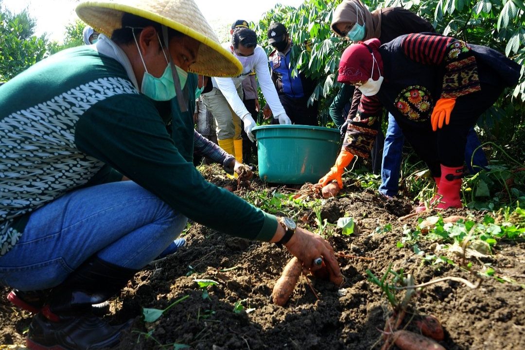 Lahan BTKD Jeruk Akan Jadi Pusat Agrowisata