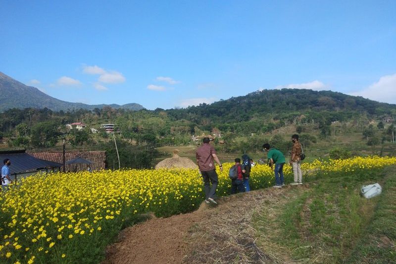 Brenjonk, Wisata Edukasi Pangan Organik dan Spot Selfie Tanaman Refugia