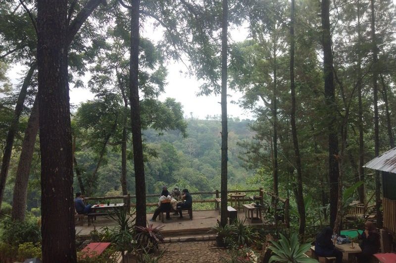Nasi <em>Purakan</em> di Lembah Hutan, Makan Bersama sambil Menikmati Alam