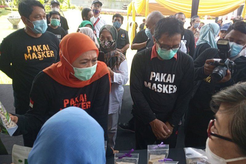 Pengembalian Posisi 367 ASN Pemkab Jember Tak Langgar UU Pilkada