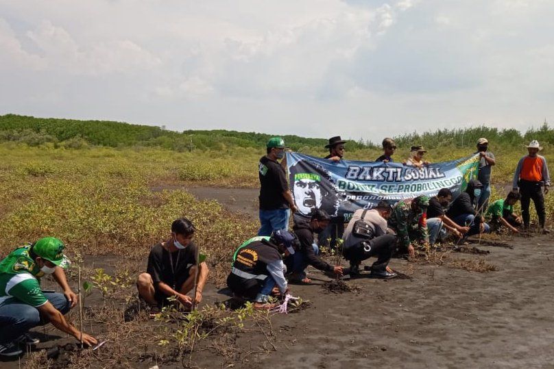 Peduli Lingkungan, Bonek di Probolinggo Tanam Pohon Bakau