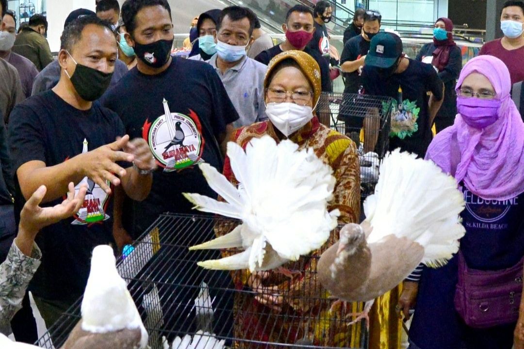 Balai Kota Surabaya Semakin Indah dengan Burung Merpati Berbagai Jenis