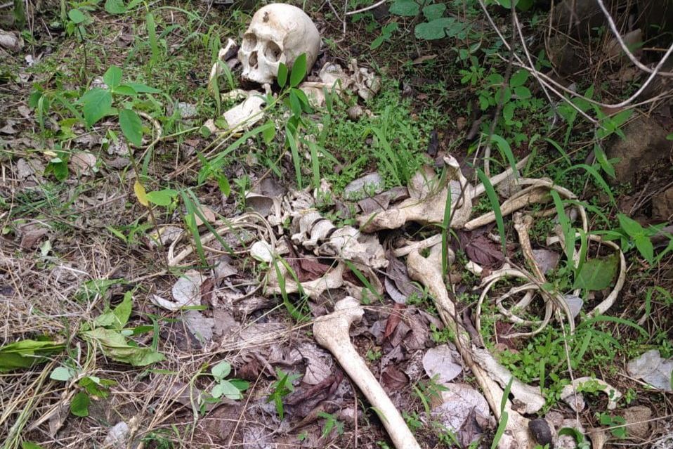 Misteri Temuan Kerangka Manusia di Hutan Krucil Probolinggo