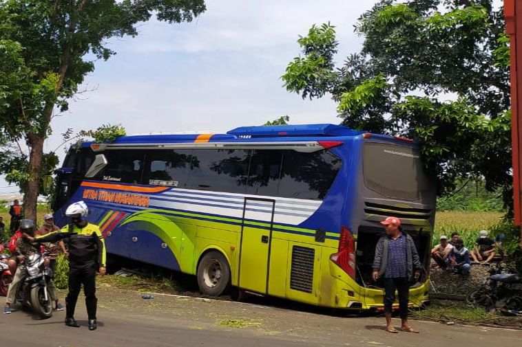 Bus Tabrak Pemotor di Jalur Pantura Probolinggo, Satu Pengendara Tewas