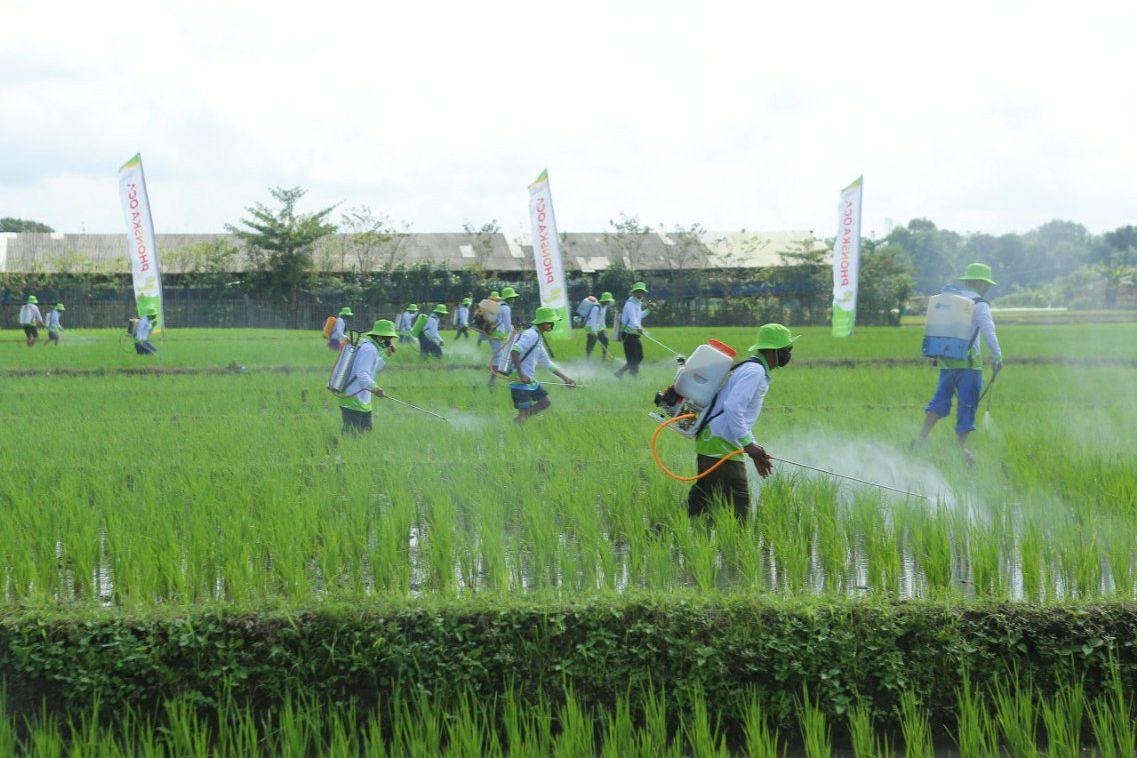 Petrokimia Berharap Petani Lakukan Pemupukan Berimbang untuk Jaga Kesuburan Tanah