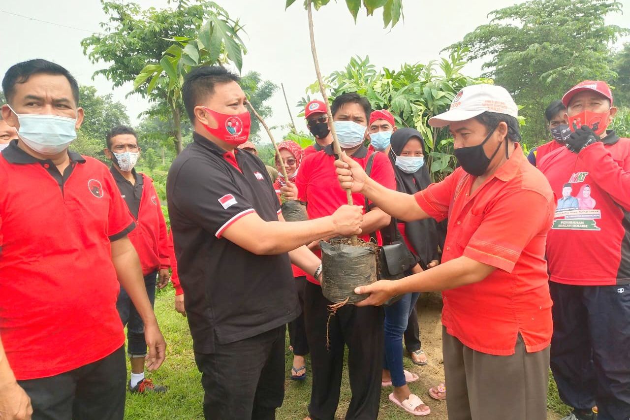 Ultah Megawati, PDIP Gresik Tanam 200 Pohon Lindung
