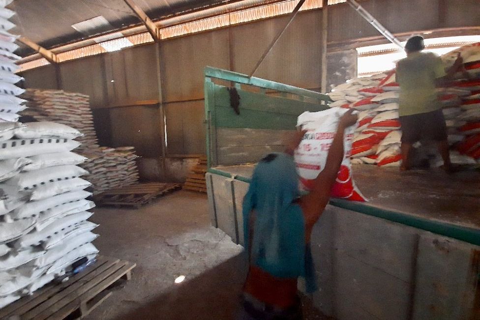 Pemerintah Kurangi Alokasi Pupuk Subsidi Kabupaten Probolinggo, Kecuali Urea