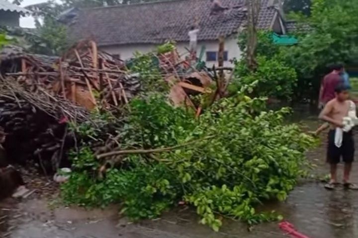 Puting Beliung di Probolinggo, Sejumlah Rumah Rusak dan Pohon Tumbang