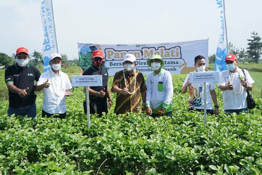 Petrokimia Gresik Bangkitkan Ekspor Bunga Melati Tegal Dengan NPK Phonska Plus