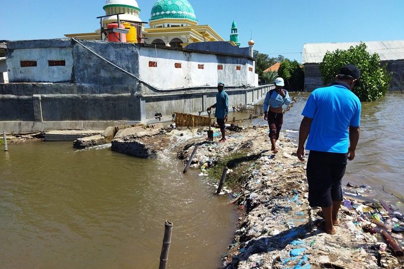 Tambak Garam Terimbas Banjir Rob, Panen Garam di Probolinggo Molor