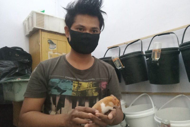 Cegah Covid, Mahasiswa di Jember Manfaatkan <em>Video</em> <em>Call</em> dalam Jual Beli Hamster