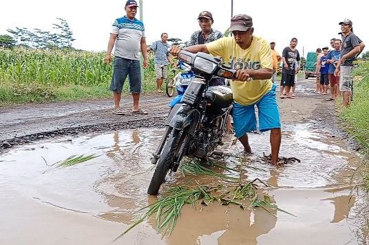 Camat Dringu Probolinggo Tinjau Jalan Rusak Parah di Dusun Lajuk