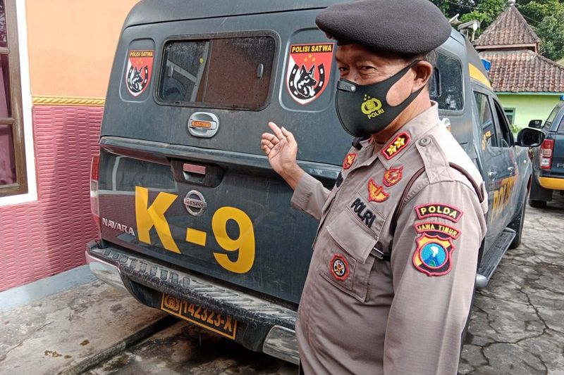 Anjing Pelacak Diterjunkan Cari Korban Hilang Erupsi Semeru