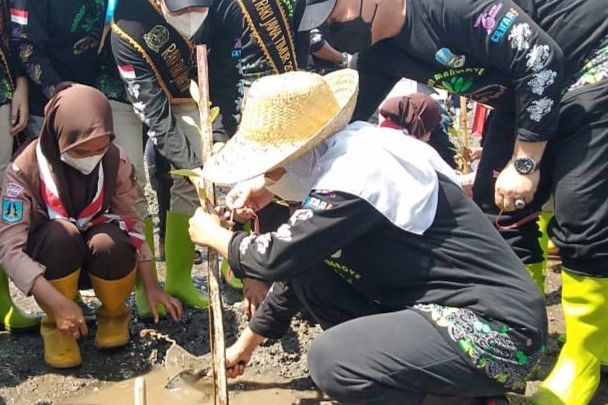 Pesan Khofifah saat Tanam Mangrove dan Cemara di Pantai Bohai Probolinggo