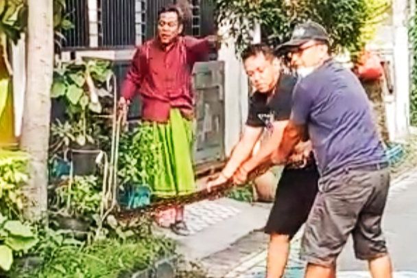 Warga Gresik Kota Baru Tangkap Ular Piton Sepanjang 3 Meter