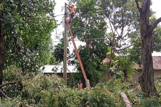 PLN Perbaiki Listrik akibat Puting Beliung di Probolinggo