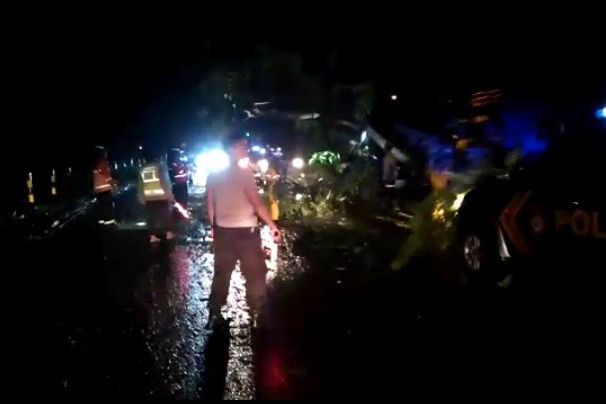 Pohon Tumbang di Jalur Pantura PLTU Paiton, Lalu Lintas Sempat Macet