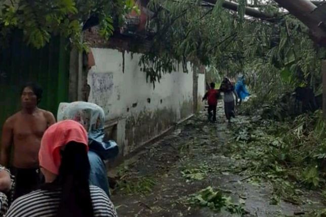 Empat Kecamatan di Probolinggo Terdampak Puting Beliung, Sejumlah Rumah Rusak
